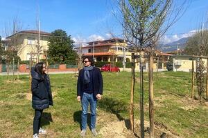 L&#039;ambiente in città: esperti a confronto da Toscana, Piemonte ed Emilia Romagna