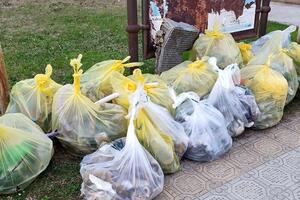 Tornano a Pietrasanta i &quot;clean up&quot; di Plastic Free