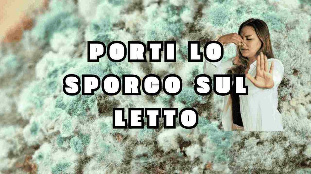 sporco letto