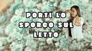 sporco letto