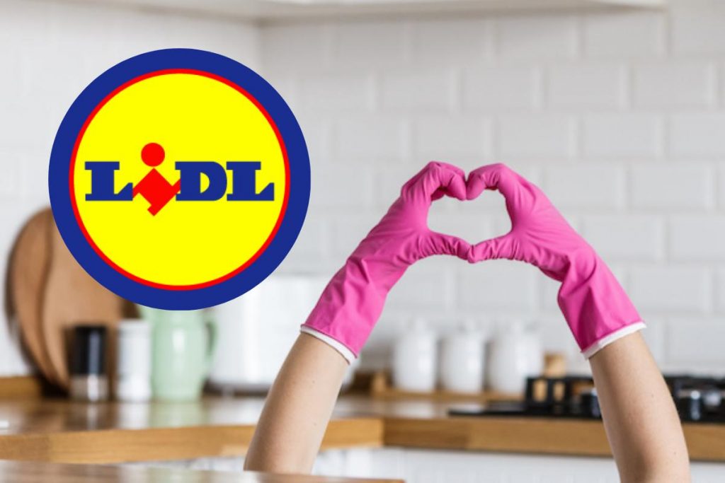 Logo Lidl e pulizie domestiche