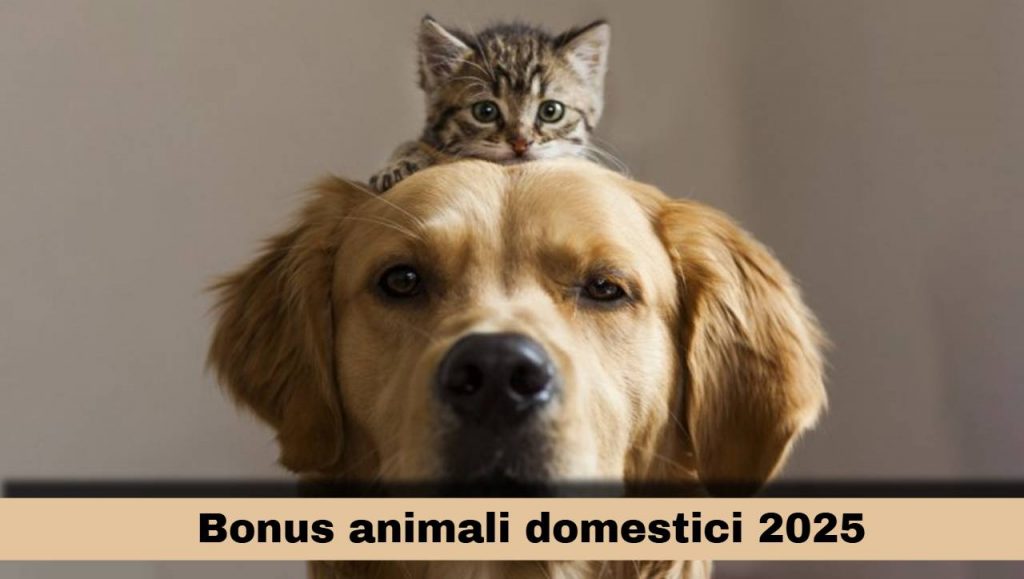 Cane e gatto, bonus animali domestici 2025