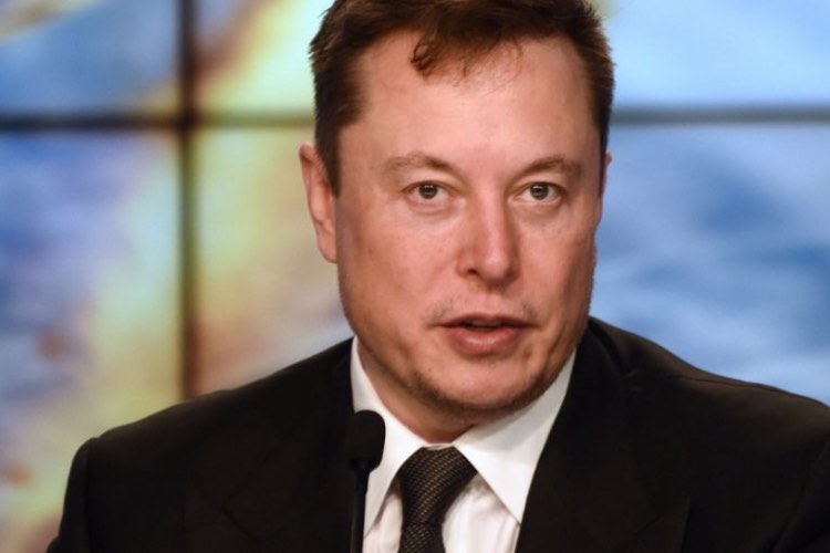 Musk 