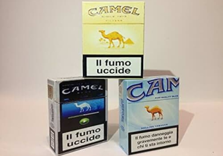 Camel in aumento