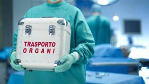 Trapianto organi di animali